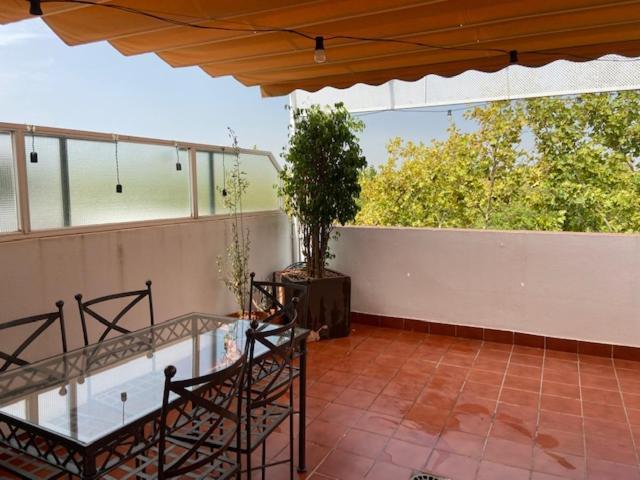 Torneo Atico Premium Apartment Sevilla Eksteriør billede
